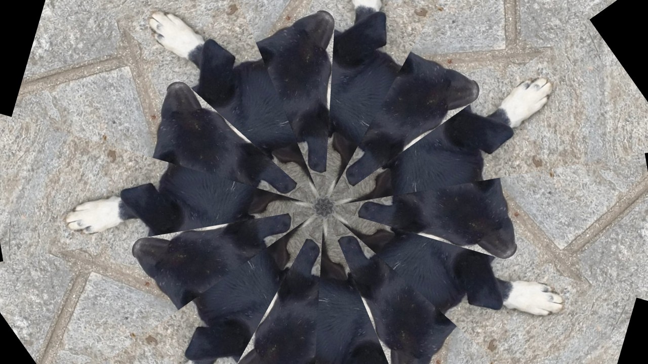 kaleidoscope style sample with repeated mirrored image slices