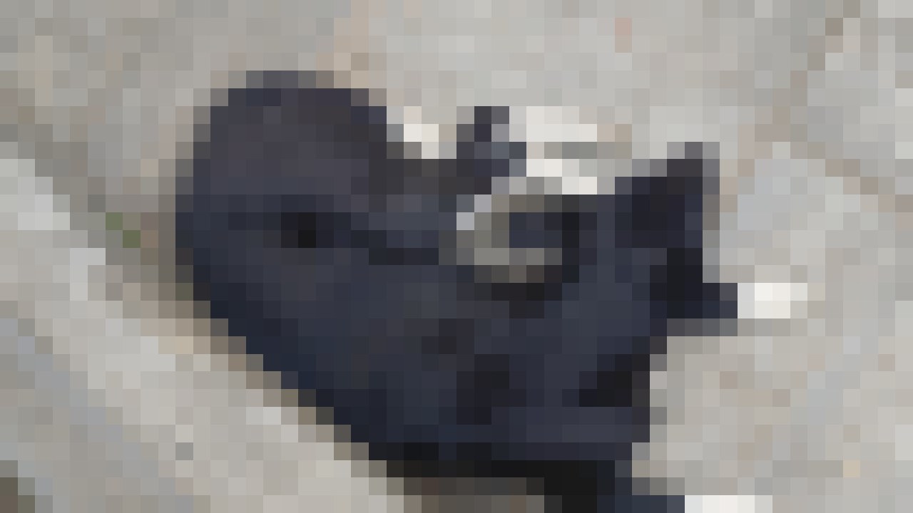 mosaic style sample with the image broken into blocks