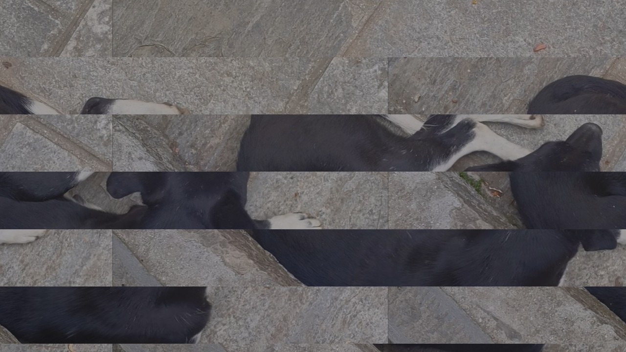 slide style sample with sliced photo bands moving across the frame