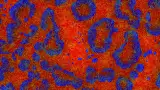 MilkDrop プリセットの例。発光する抽象模様が画面全体に広がる映像